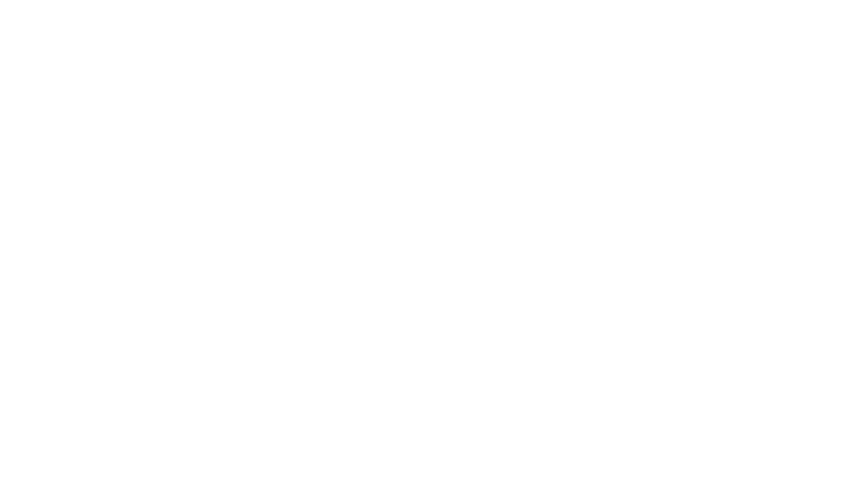 Talent 100