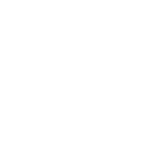 achvr_1